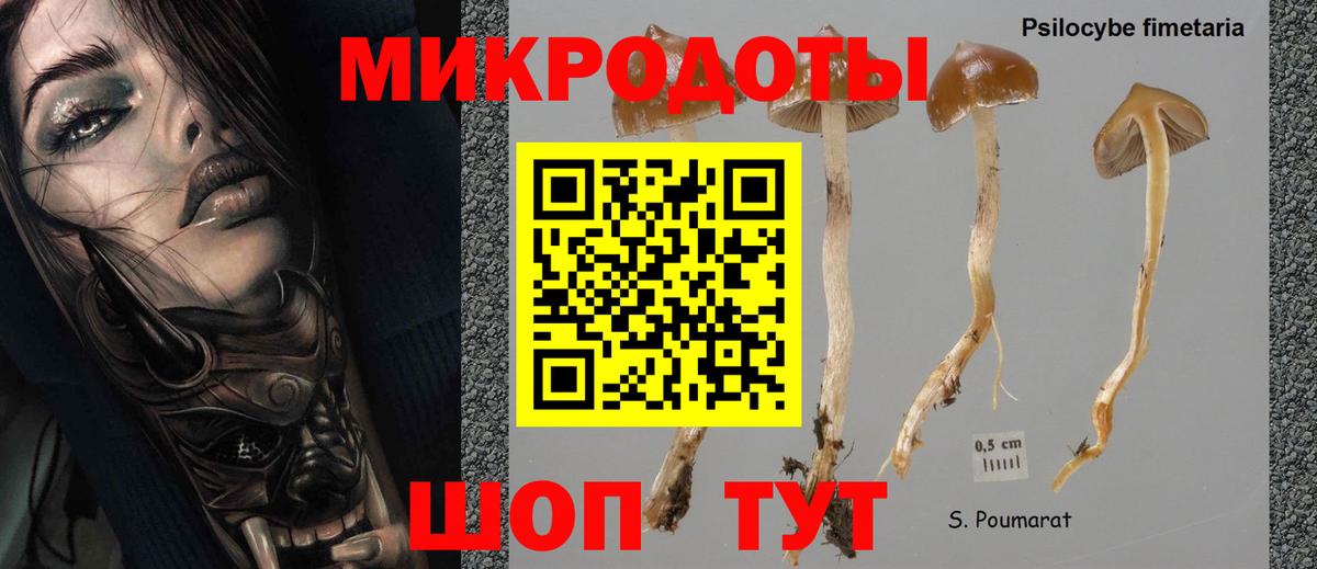 Псилоцибиновые грибы GOLDEN TEACHER  Вход с VPN  Ярославль 